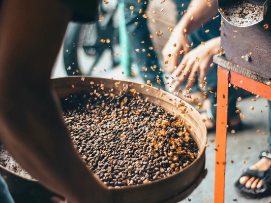Die Aufbereitung von Kaffee: Ein Prozess, der den Geschmack formt