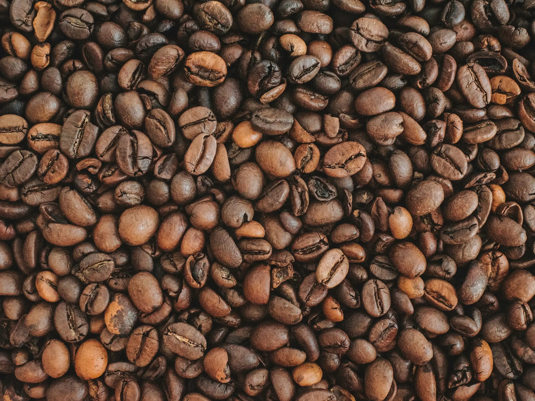 Kaffeesorten: Von Arabica bis Robusta und alles dazwischen